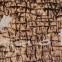 ITALIEN: Leichter, glänzender Jacquardstoff mit Leoprint