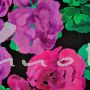 Baumwollgewebe Blumen schwarz/lila