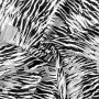 Tierfelle schwarz und weiß