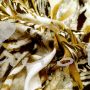 Viskosestoff Herbstblume
