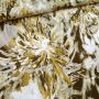 Viskosestoff Herbstblume